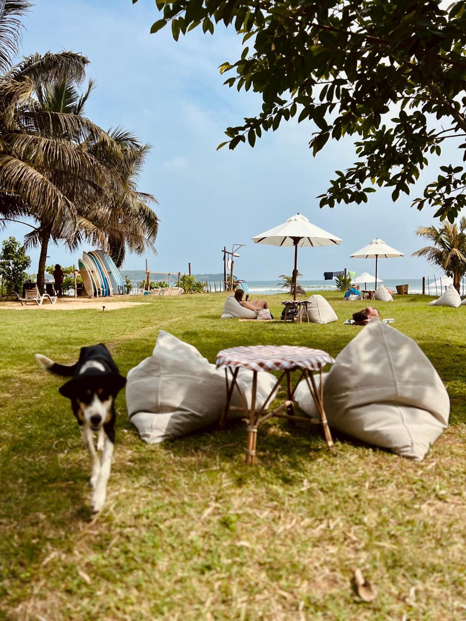 Calma - Surf, Yoga & Coffee On A Private Beach Dikwella Sur Exterior foto