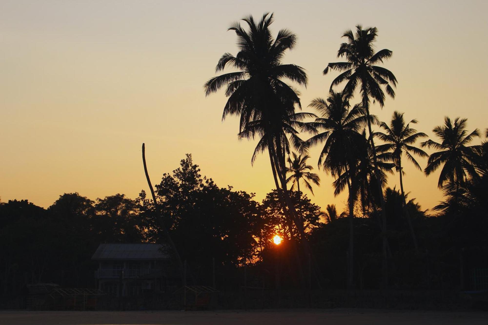 Calma - Surf, Yoga & Coffee On A Private Beach Dikwella Sur Exterior foto