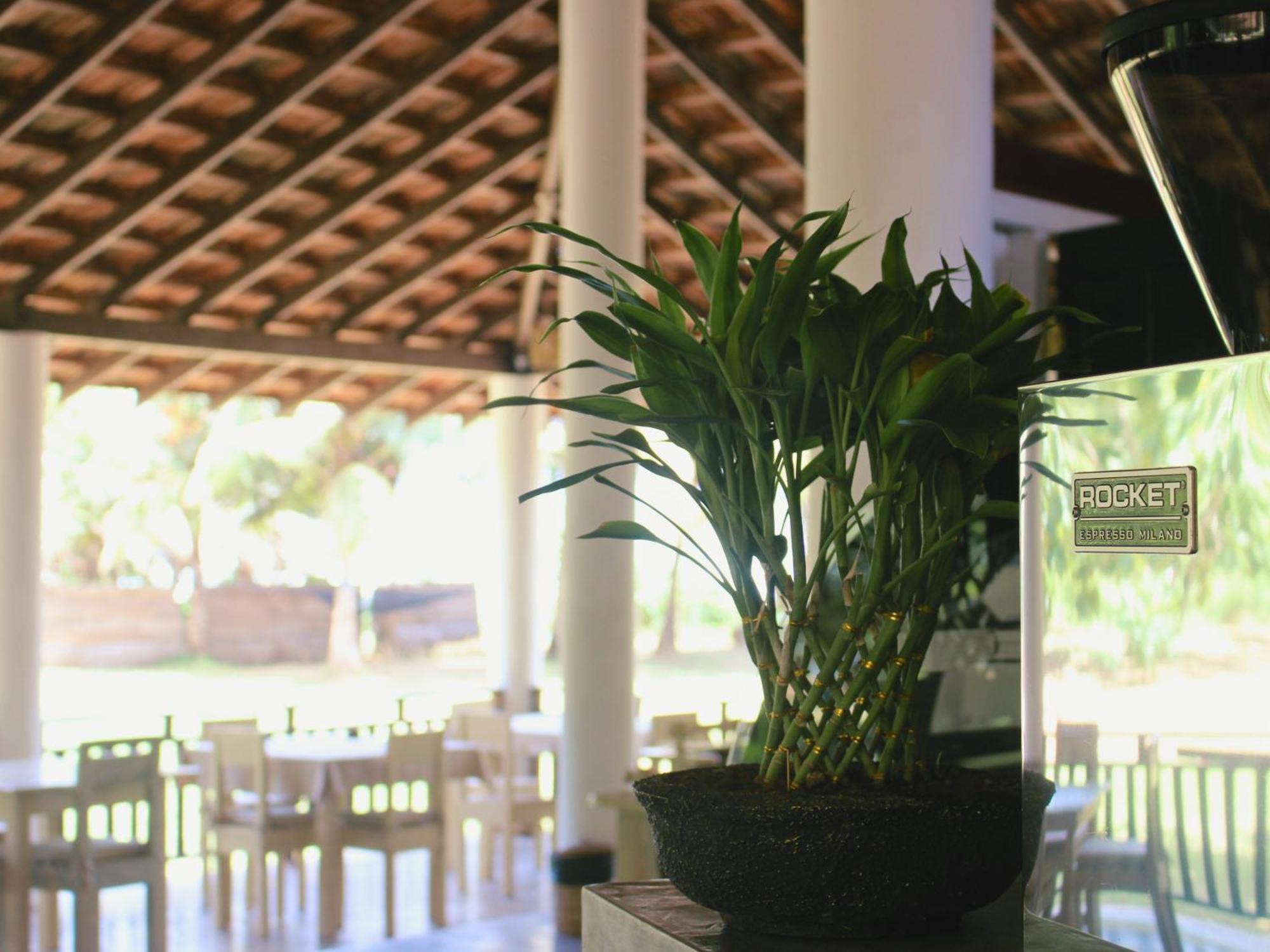 Calma - Surf, Yoga & Coffee On A Private Beach Dikwella Sur Exterior foto